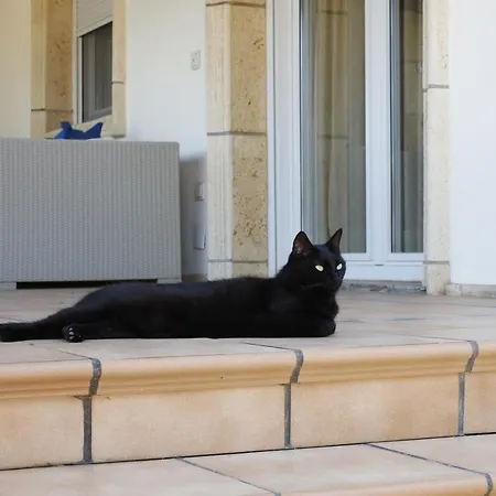 Tres Palmeras En Alfaz Del Pi , Albir, Benidorm Villa