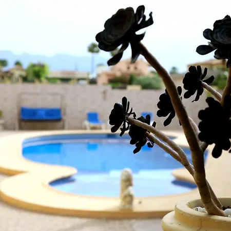 Tres Palmeras En Alfaz Del Pi , Albir, Benidorm * L'Alfas del Pi